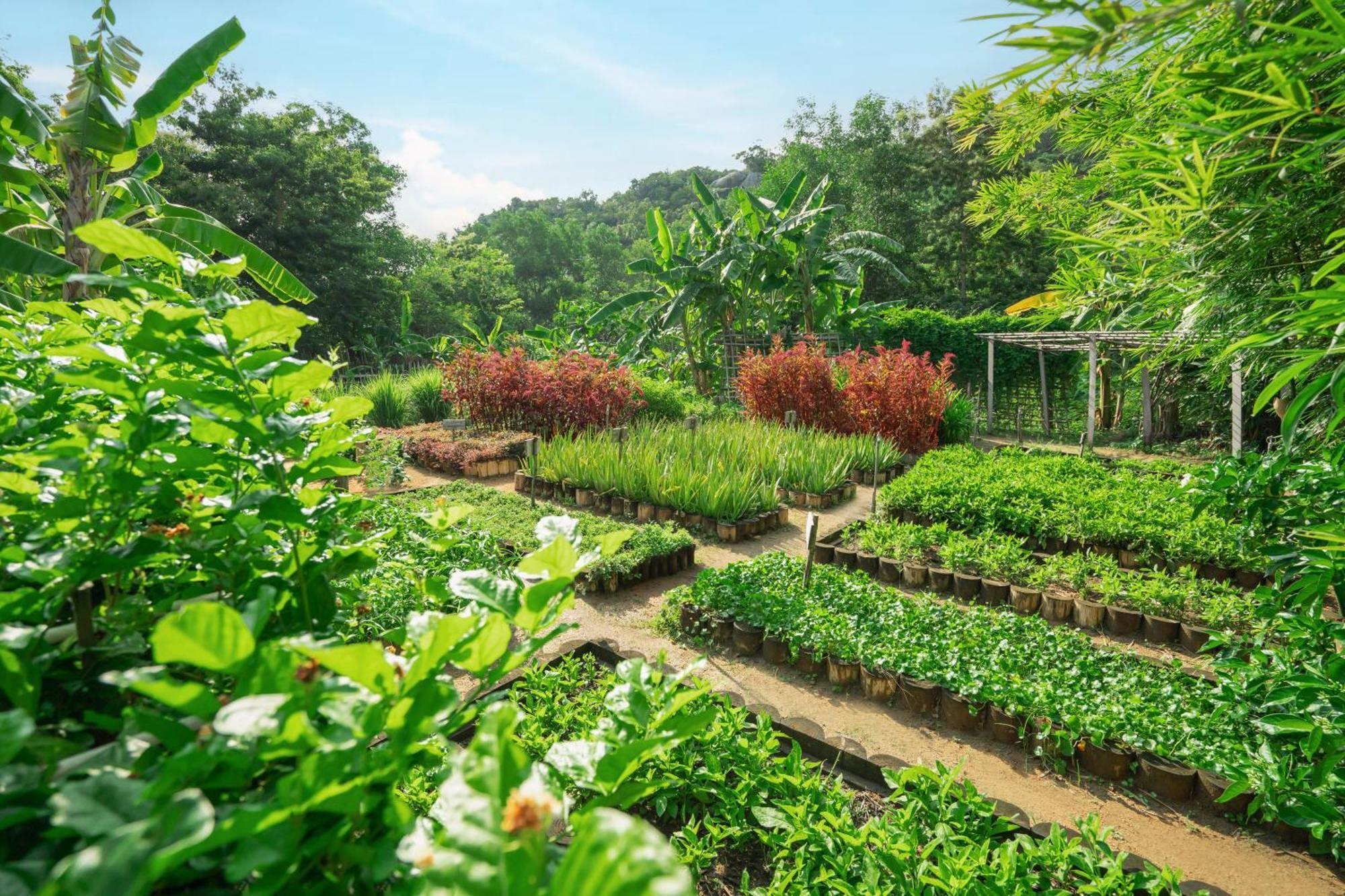 An Lam Retreats Ninh Van Bay (Adults Only) Bagian luar foto